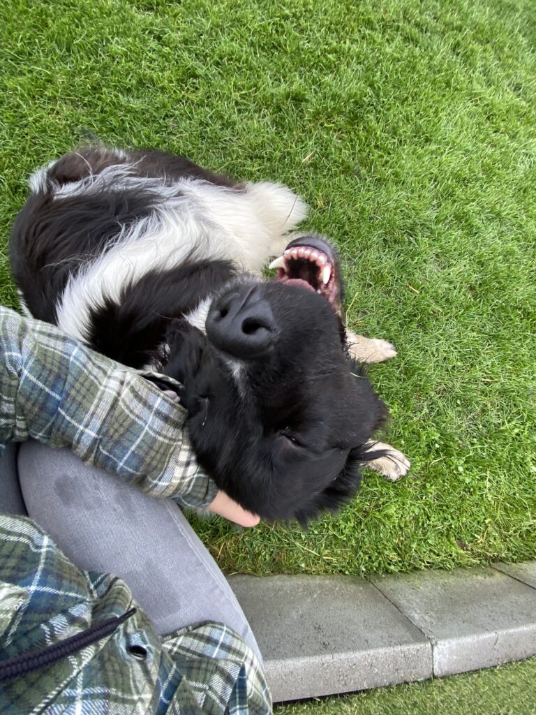 image00002